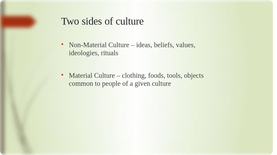 Material and Non-material Culture.pptx_dmg025q1qzs_page2