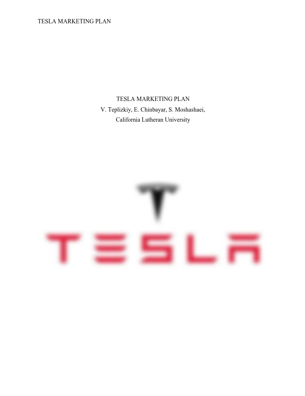 TESLA MARKETING PLAN_dmg5yc8i5al_page1