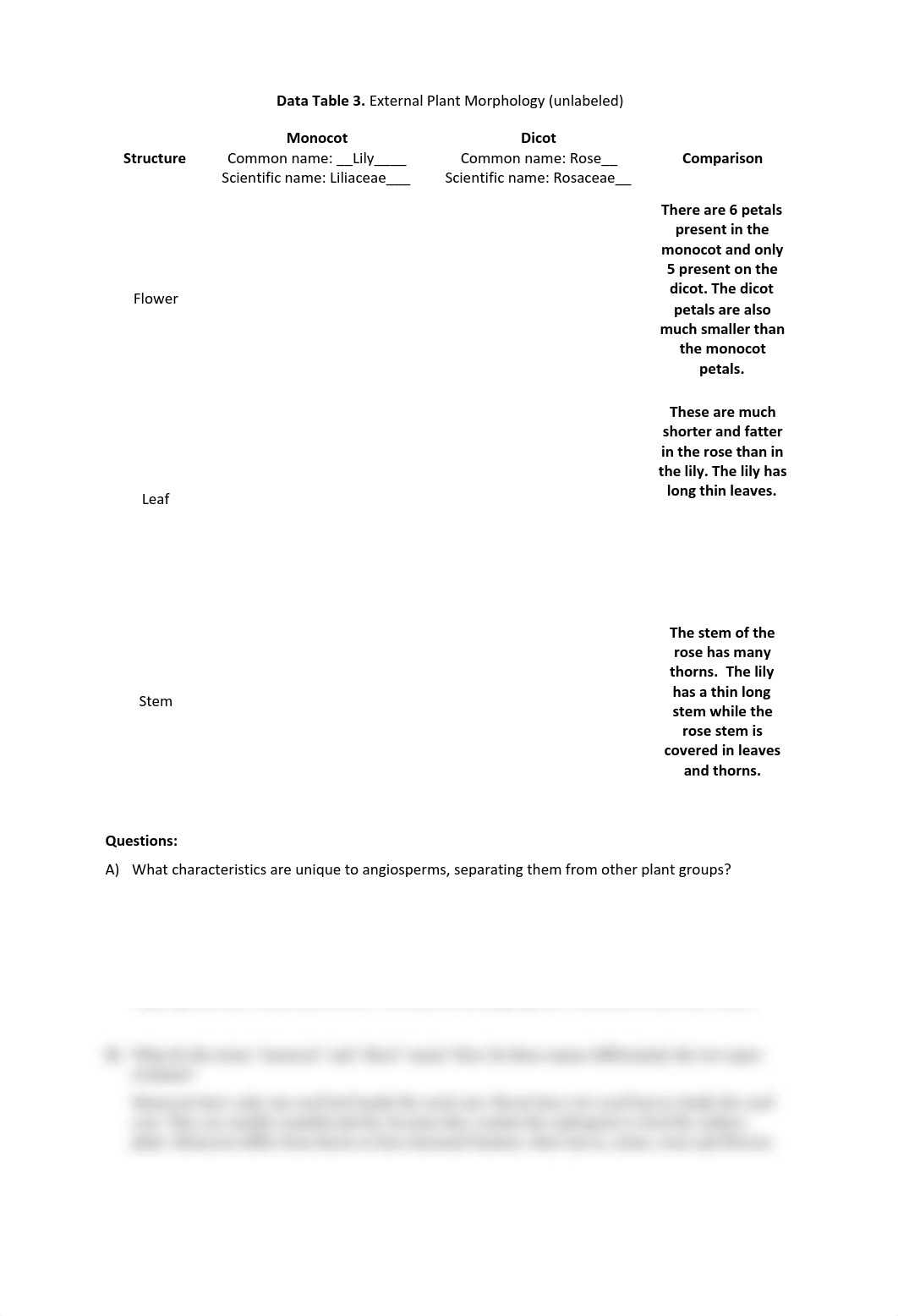 Lab8.pdf_dmgaeosmk2v_page3