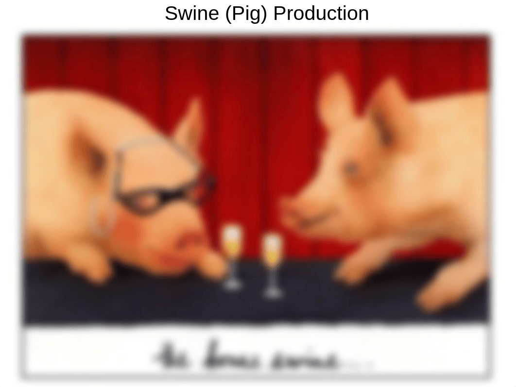 APSC 100 Swine Production.Notes 10_dmgbakcf8dv_page1