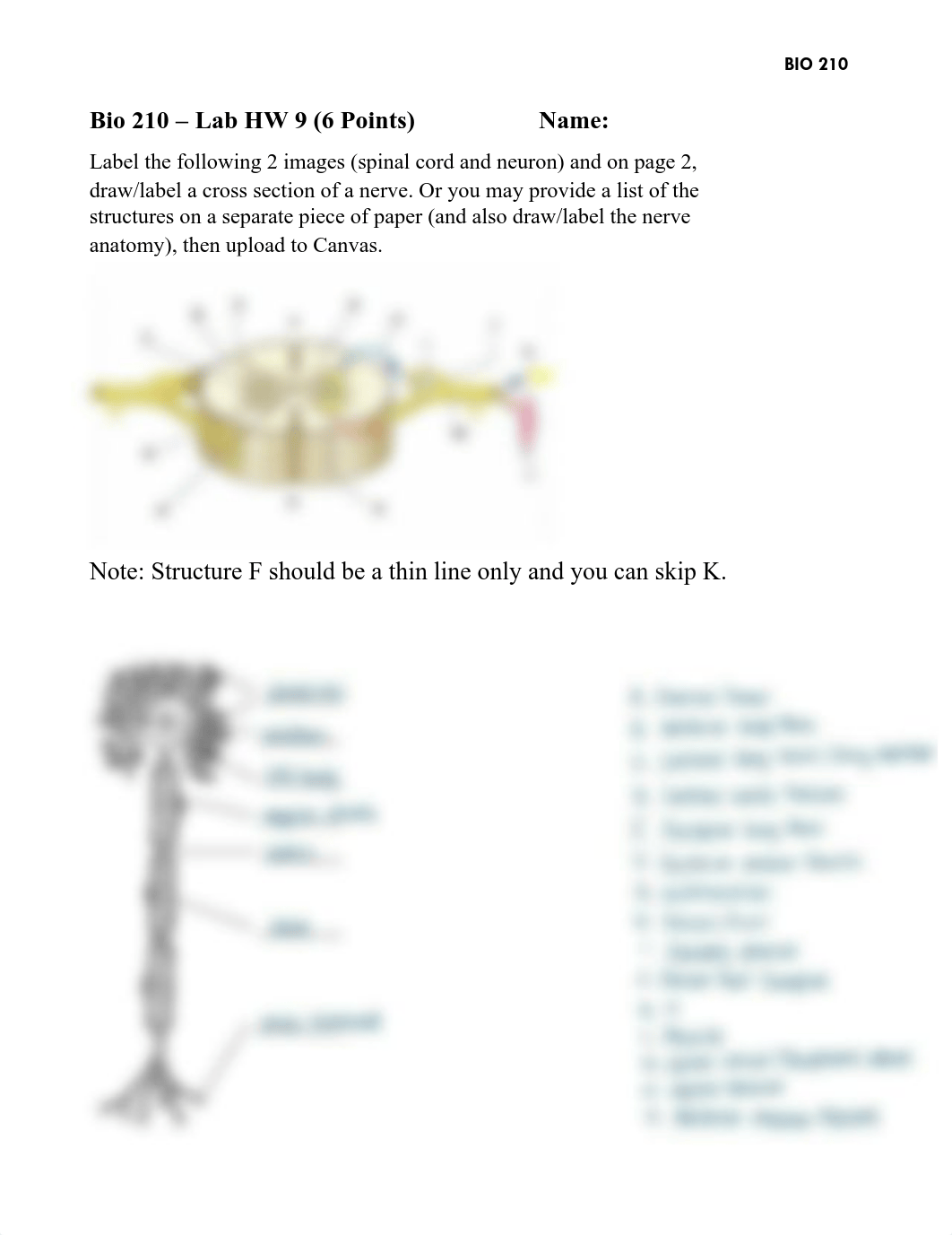 Lab HW 9 Spinal Cord.pdf_dmgdam1afi0_page1