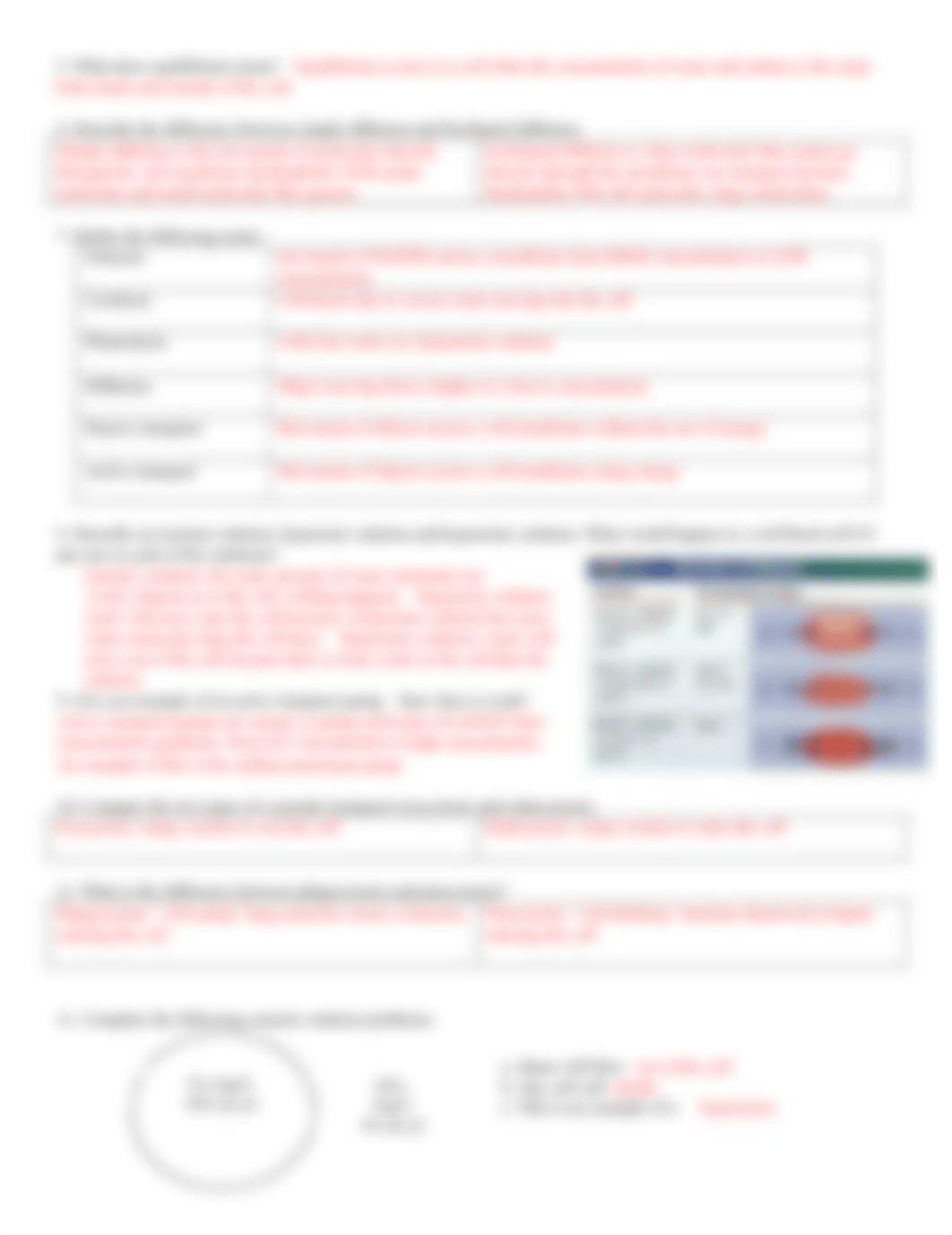 Cell Transport Study Guide KEY.pdf_dmgh5fx9u55_page2