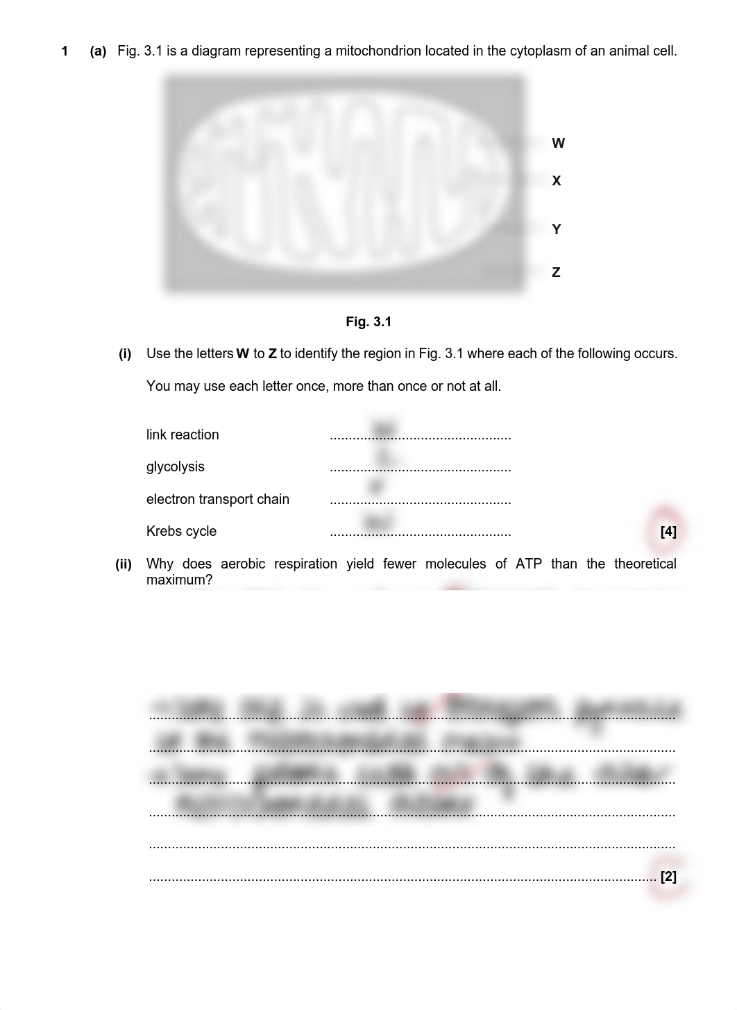 Respiration 1 QP.pdf_dmgjf3h0lwe_page1