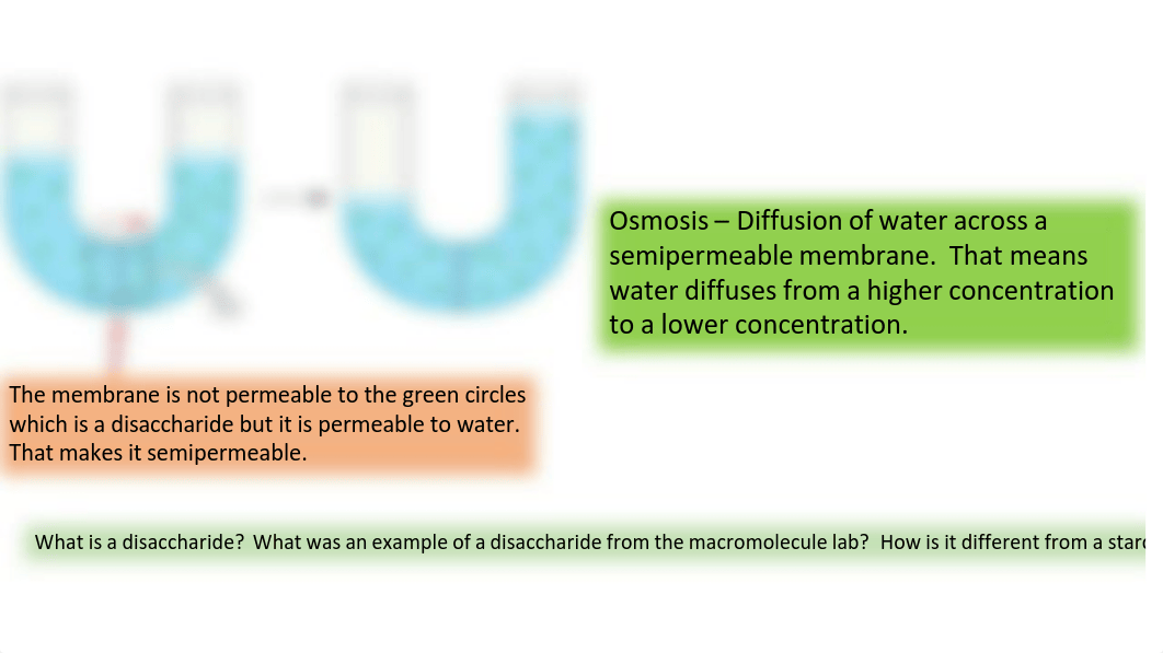 lecturediffusionlab5dougclean.pdf_dmgkde1nuce_page3