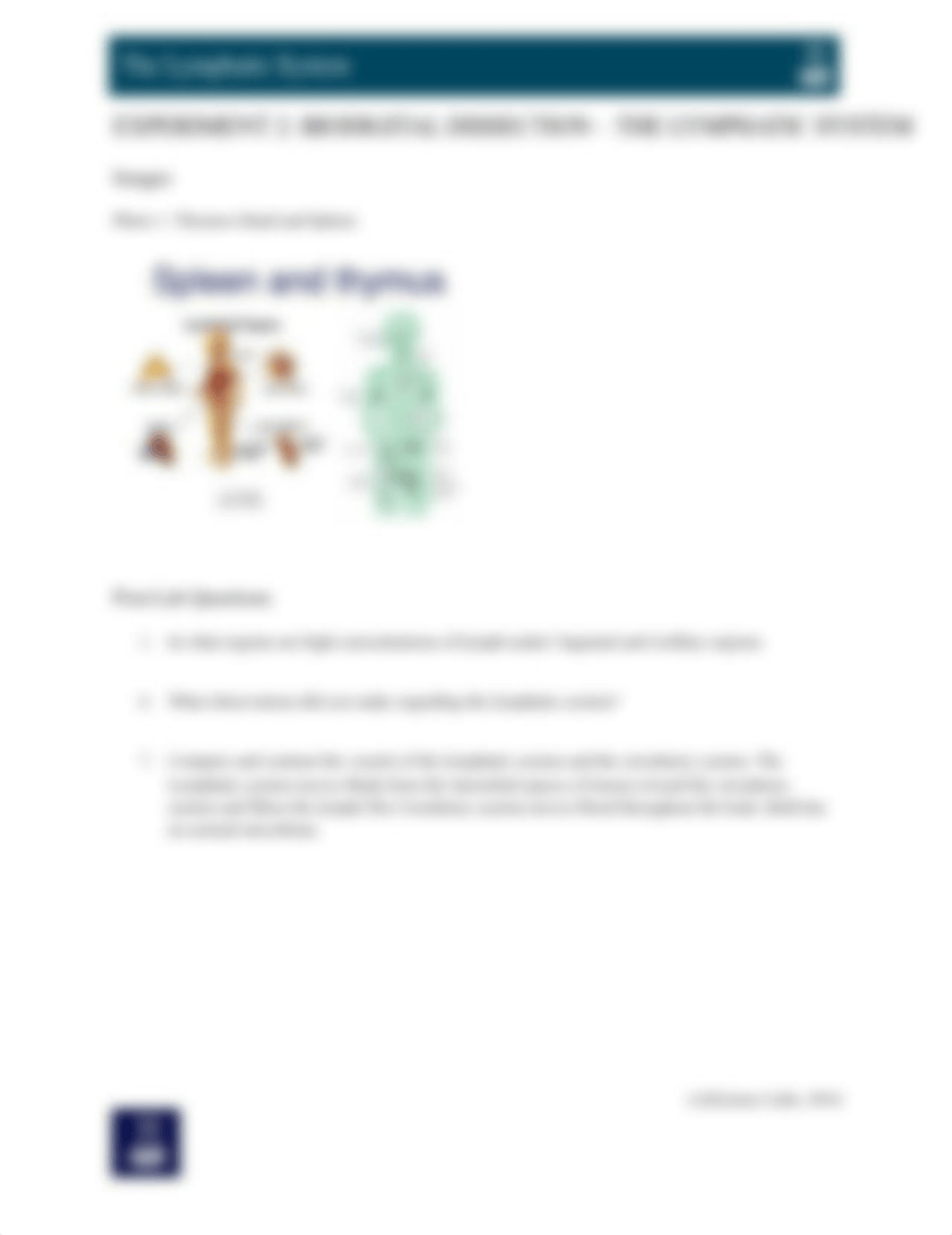 AP_5045_L12_Lymphatic Finished.docx_dmgl27e4lig_page5