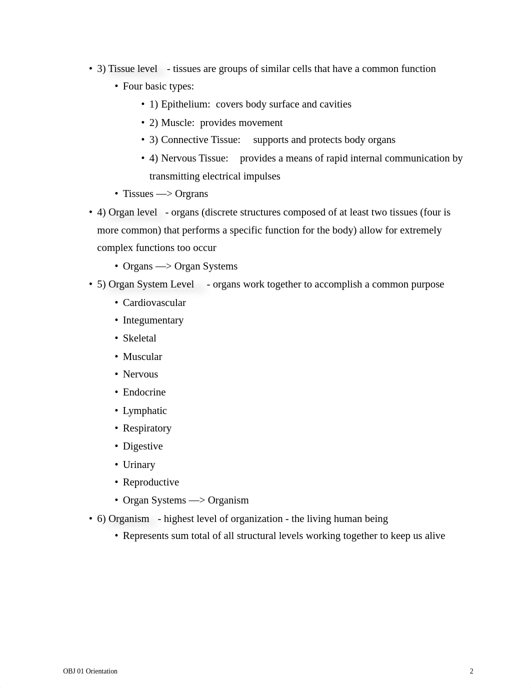 Chapter 1 Study Guide.docx_dmgm507z046_page2