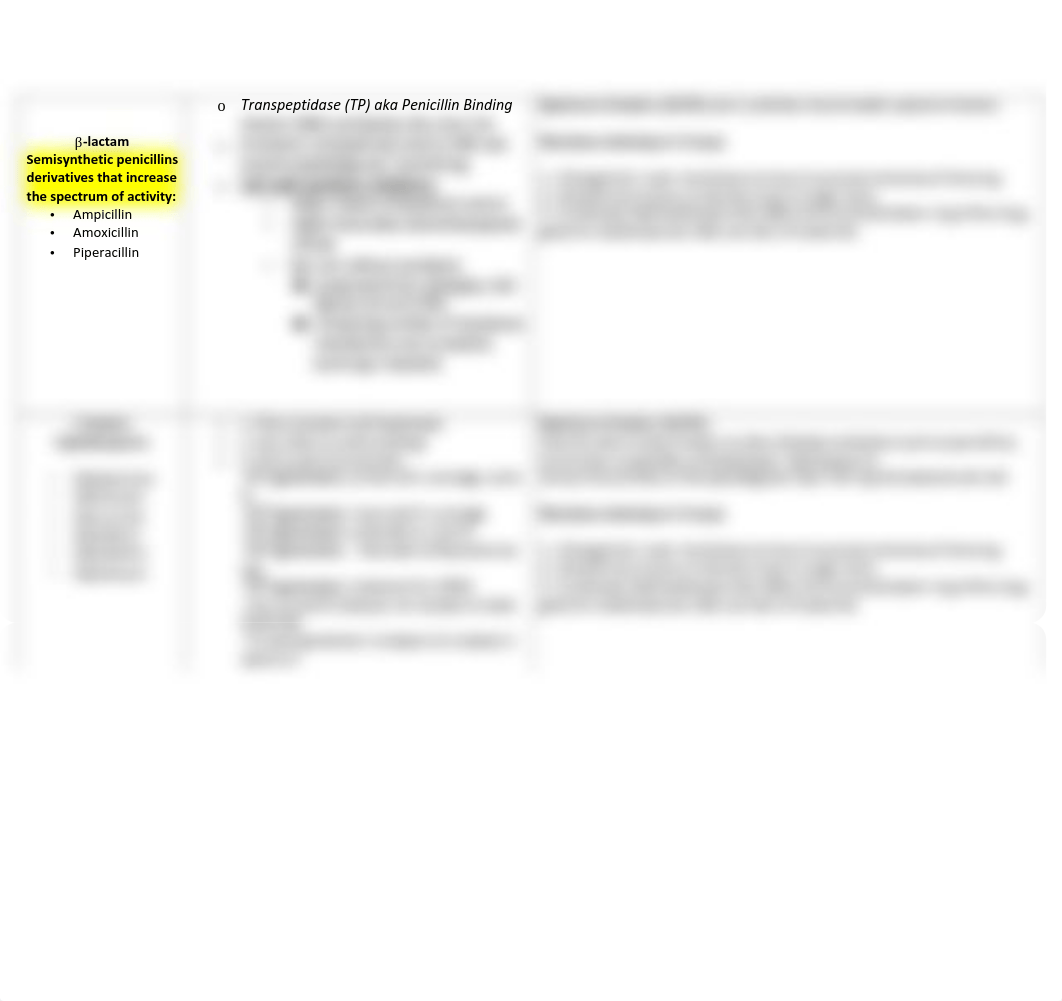 1. Antibacterial drugs that inhibit cell wall synthesis CONDENSED.pdf_dmgmbp01s29_page2