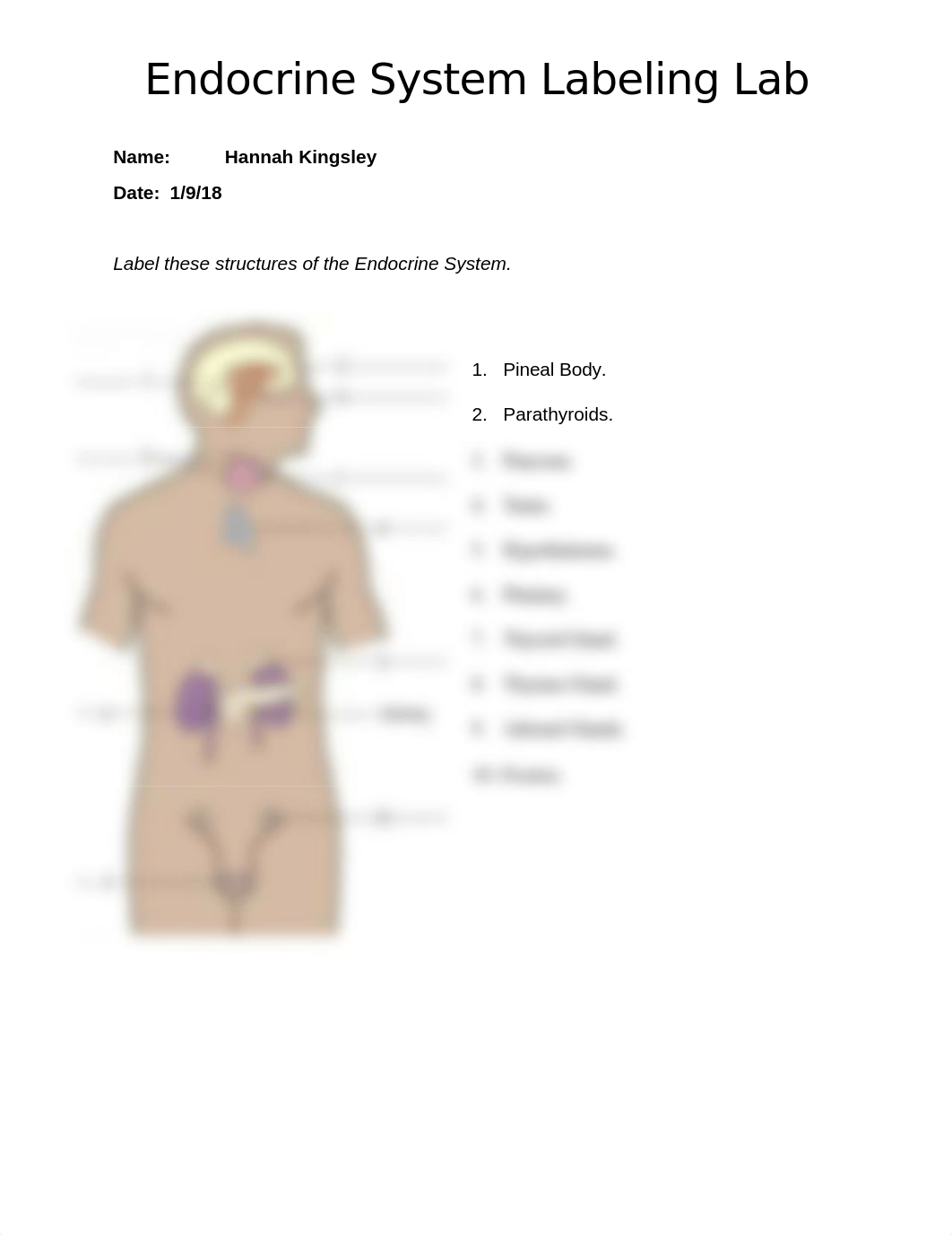 Endocrine System Labeling._dmgmt7pezx4_page1