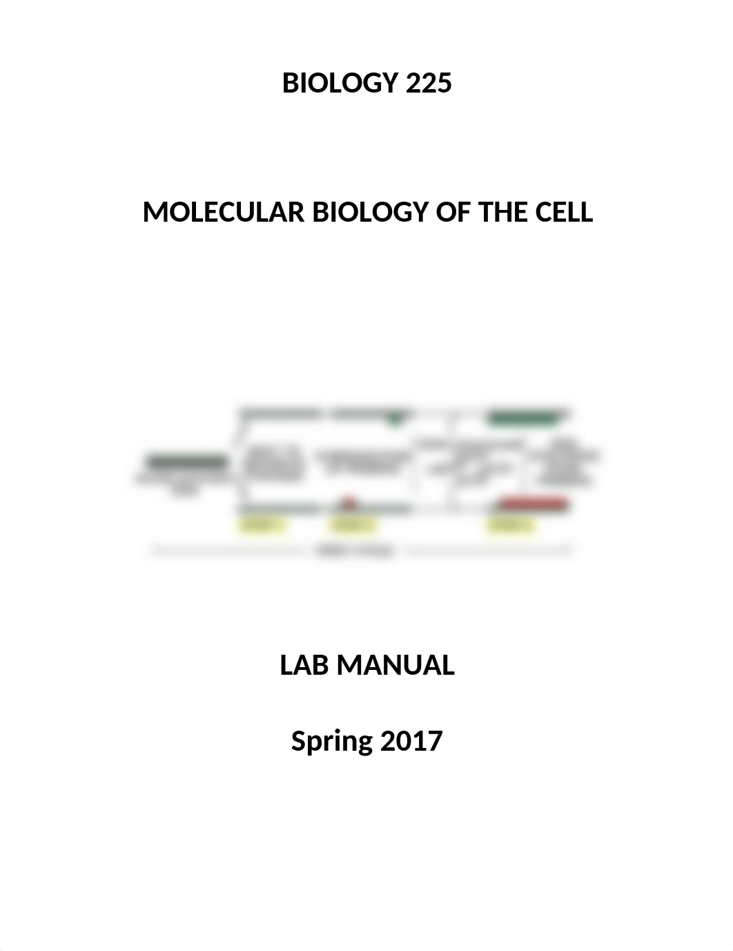 BIO225 Lab Intro.docx_dmh4l7htst7_page1