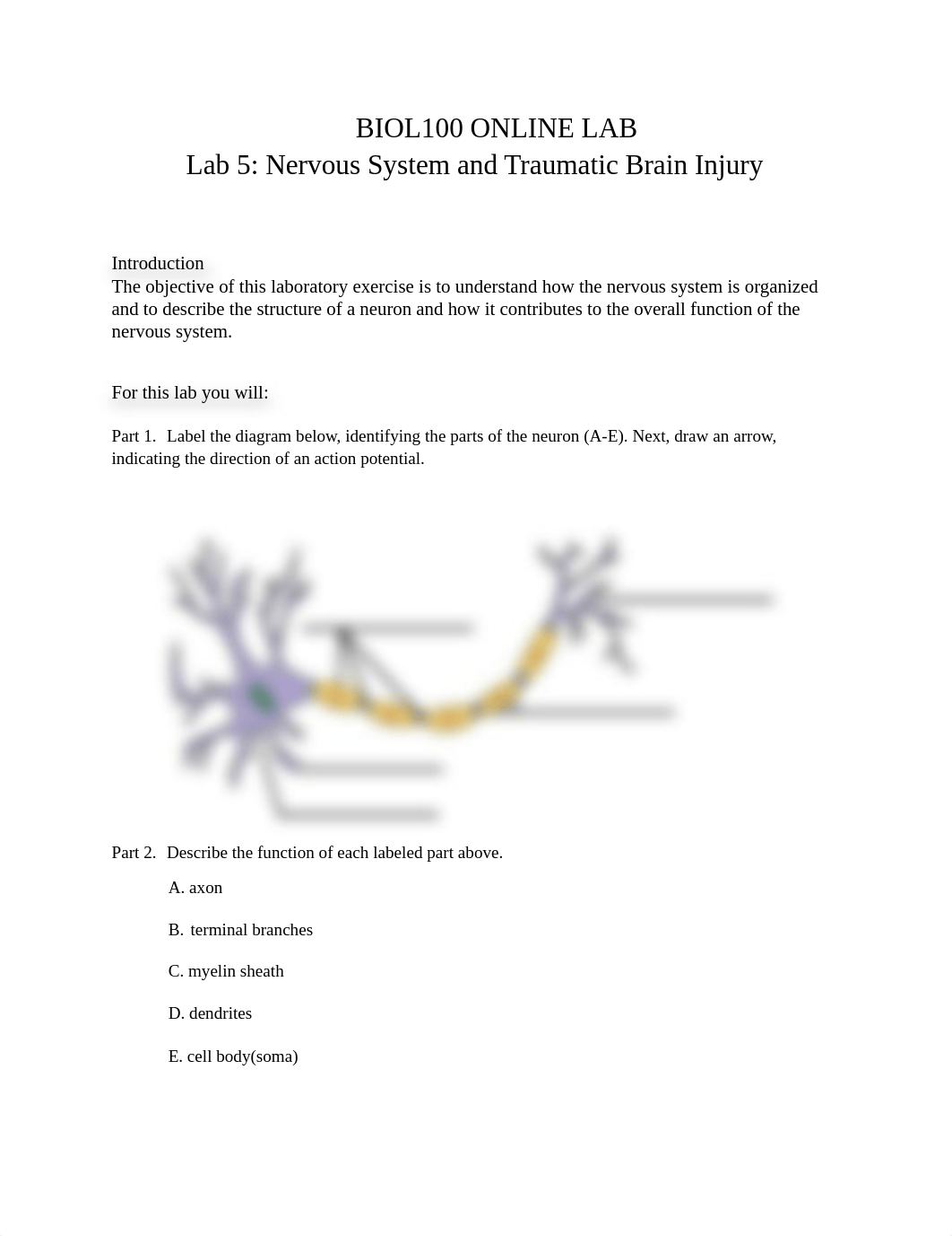 BIOL100 Lab  5 Nervous SystemvF (1).pdf_dmh53bxckt1_page1