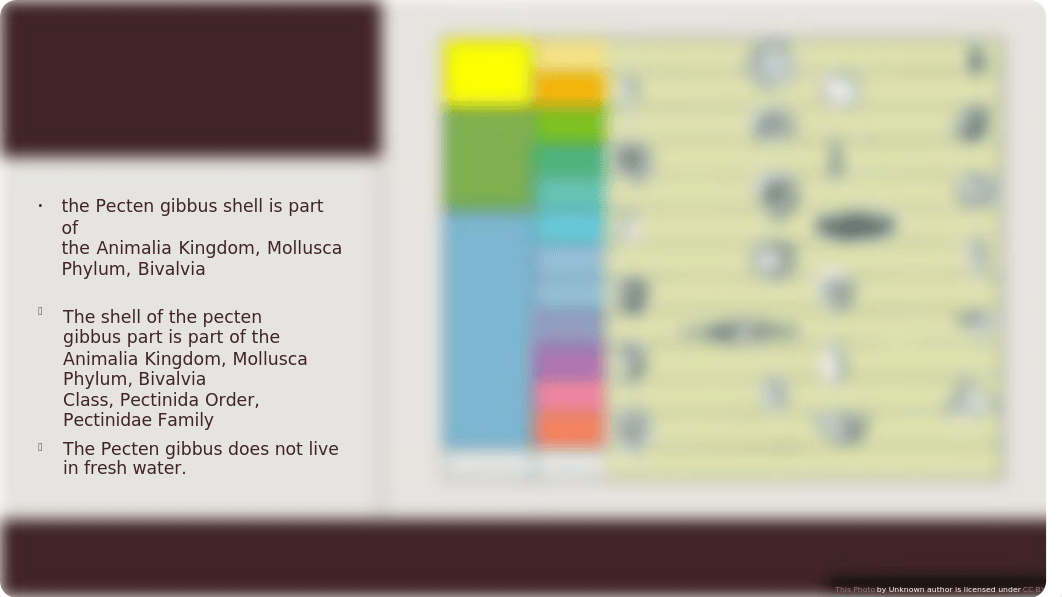 06.03 Origin and Evolution of Life.pptx_dmh8eb3rntu_page3