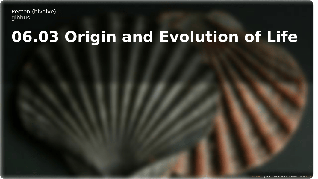 06.03 Origin and Evolution of Life.pptx_dmh8eb3rntu_page1