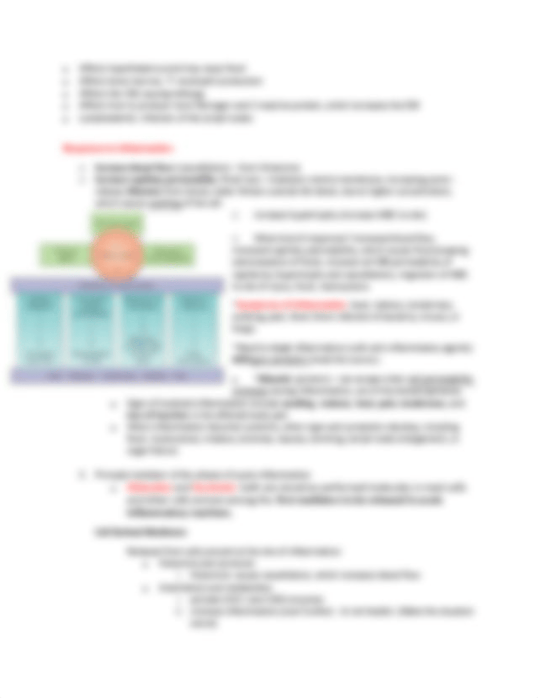 Pathophysiology Final Study Guide_dmh90d4vsgr_page2