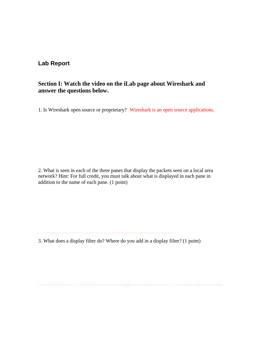 NETW202_W2_Lab_Report.docx_dmhbqhs2hkq_page1