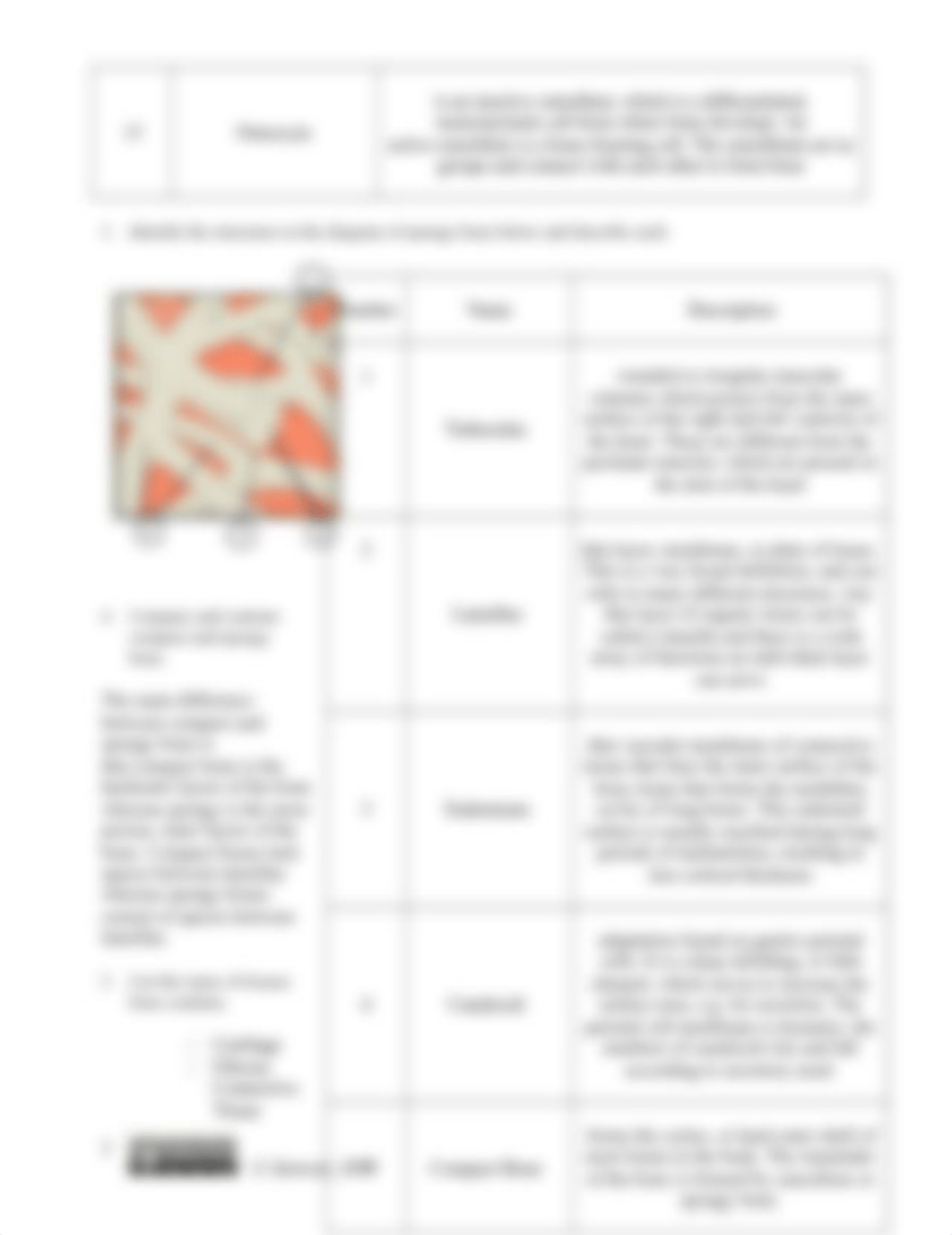 week 6 Skeletal System Concept Check.docx_dmhkexyqytb_page3