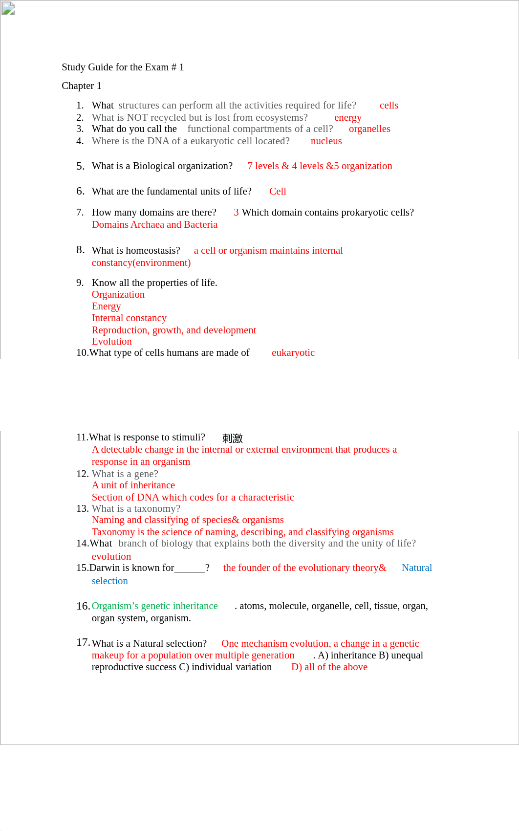 1. exam-1.docx_dmhnosa8ntf_page1