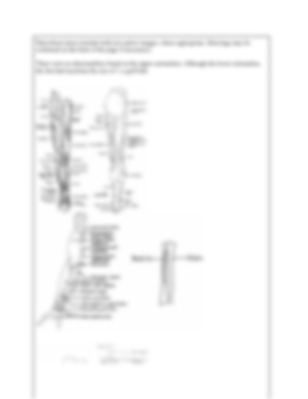 Lab_Report_Upper_and_Lower_Extremities_dmhr09szahi_page2