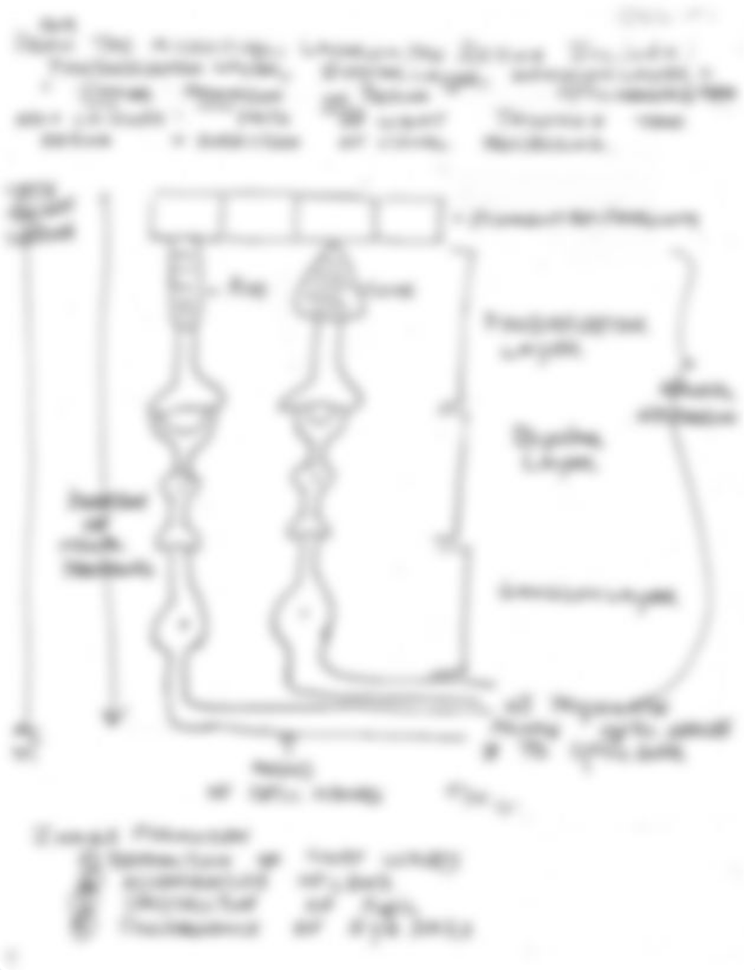 Lecture exam 3 review (1).pdf_dmhxsgge3ln_page4