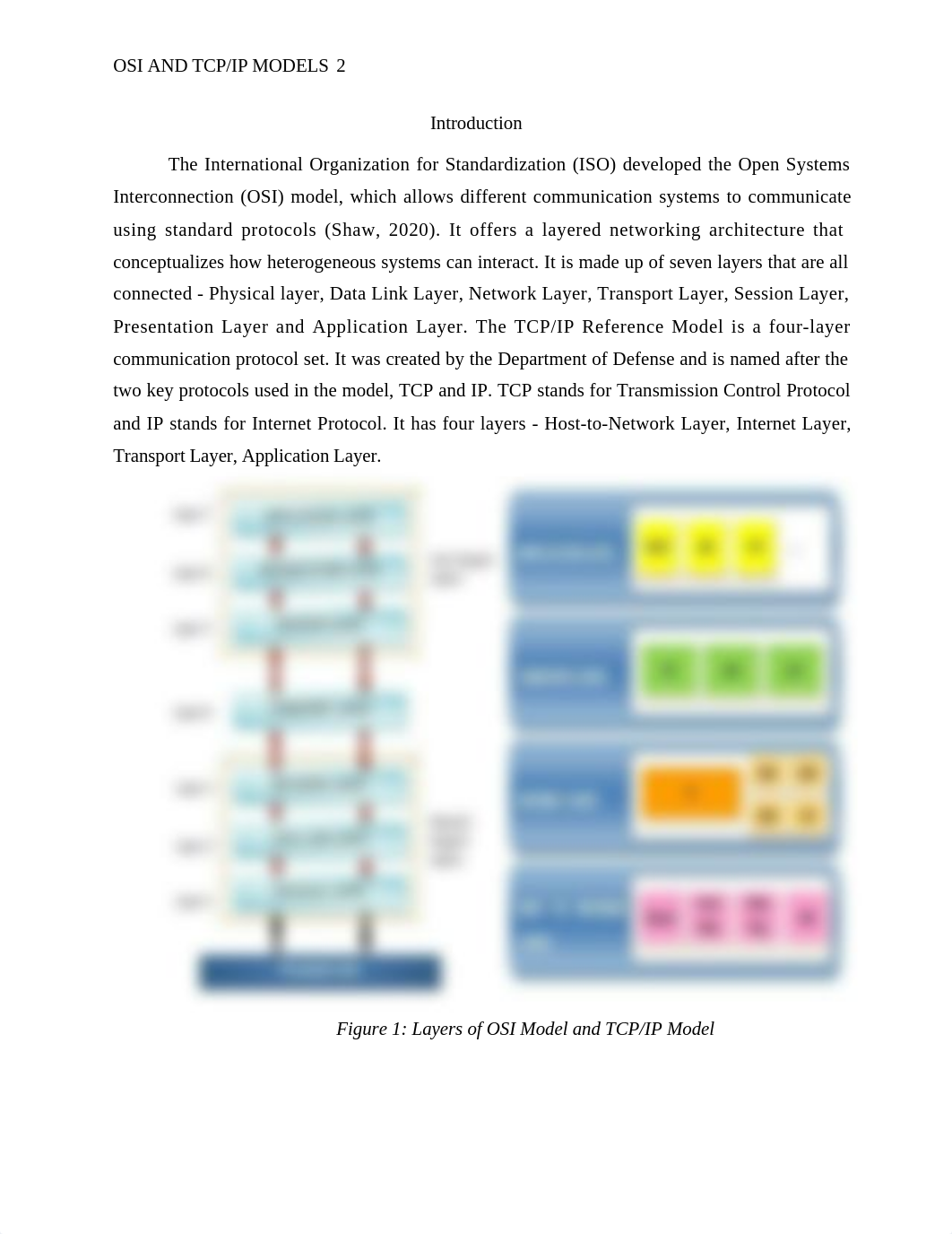 OSI and TCP_IP Models_Week1.docx_dmhyh6feiaj_page2