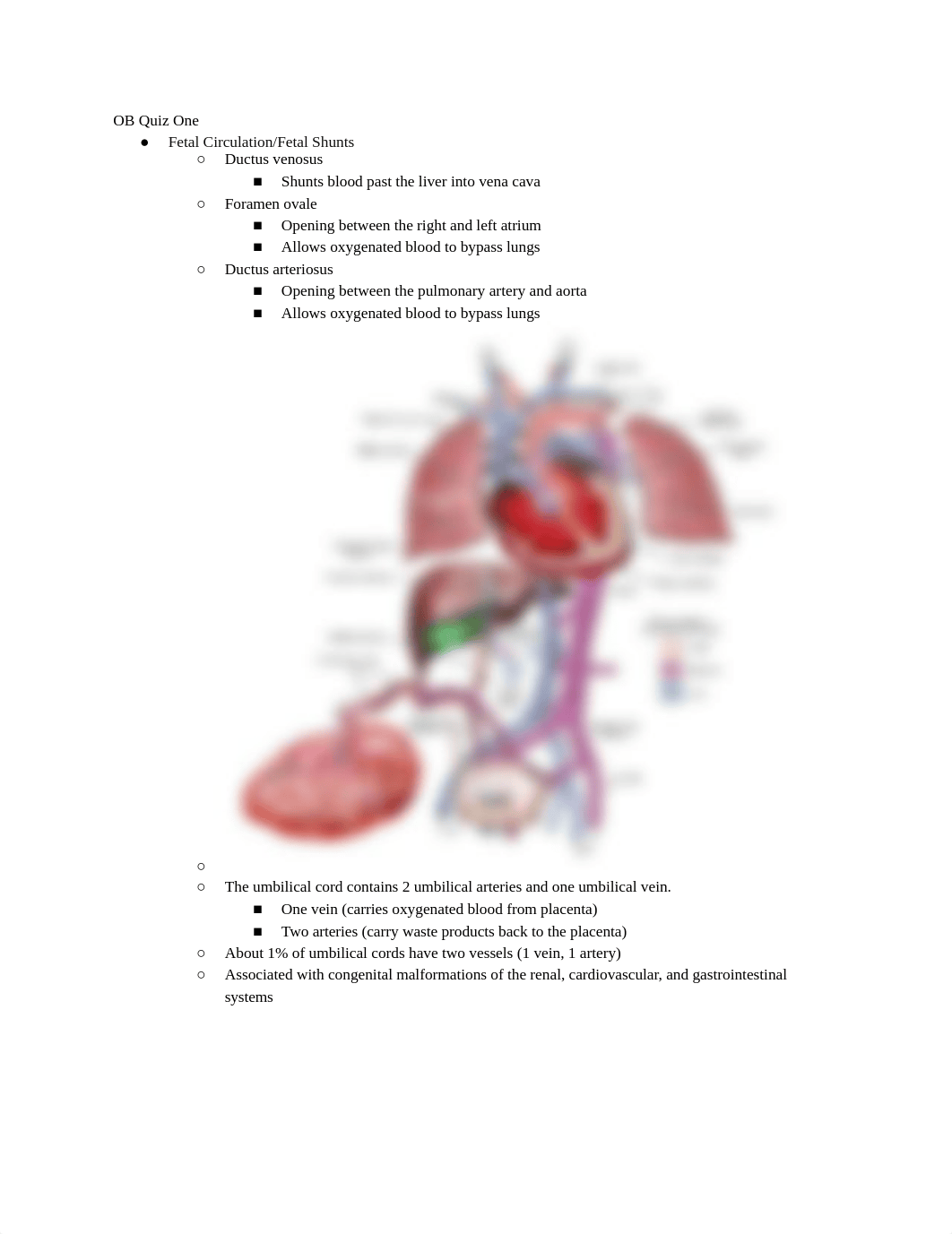 OB Quiz 1.docx_dmi45zvhcwi_page1