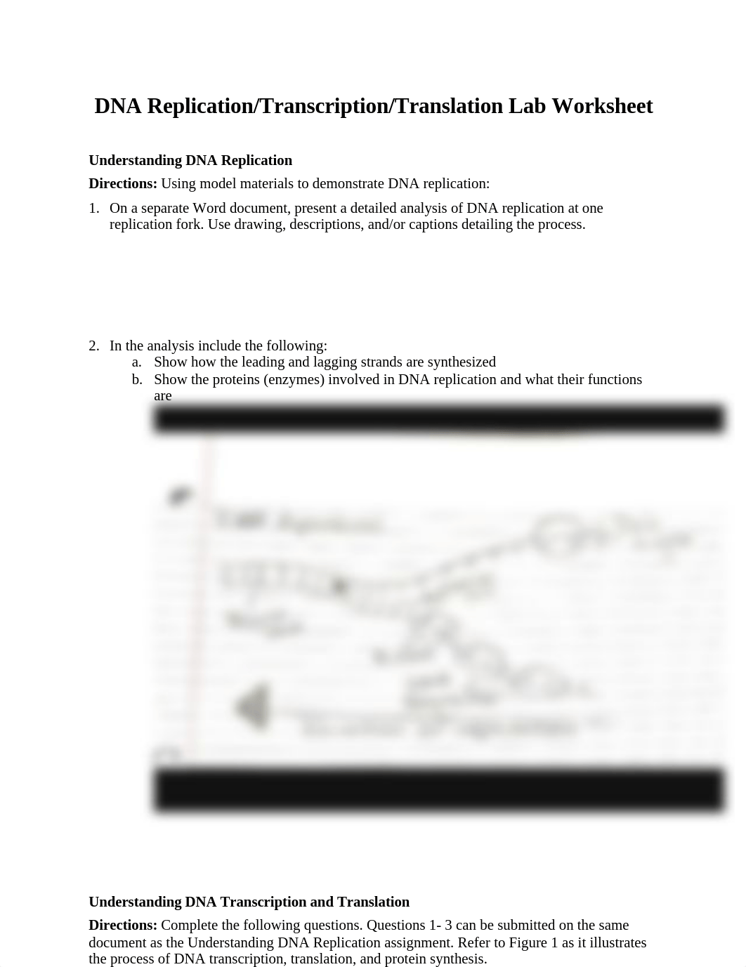 DNA Replication.docx_dmi60vjocux_page1