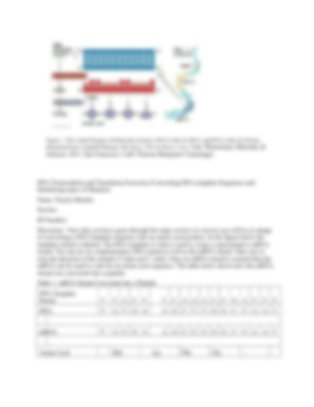 DNA Replication.docx_dmi60vjocux_page3