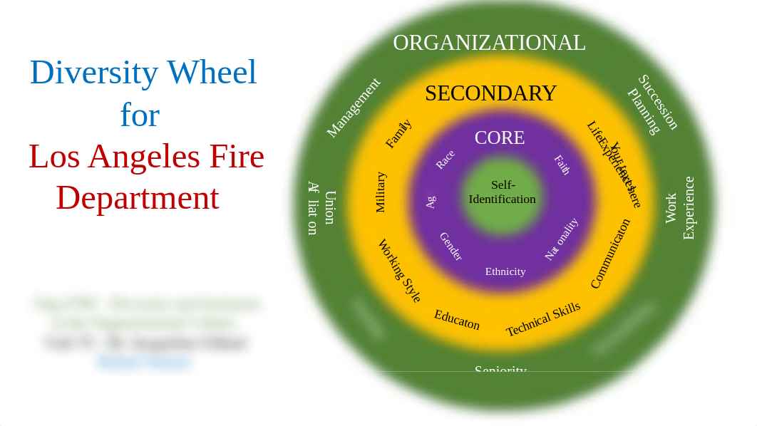 Unit VI Diversity Wheel R Nelson.pptx_dmibbdd81y0_page1