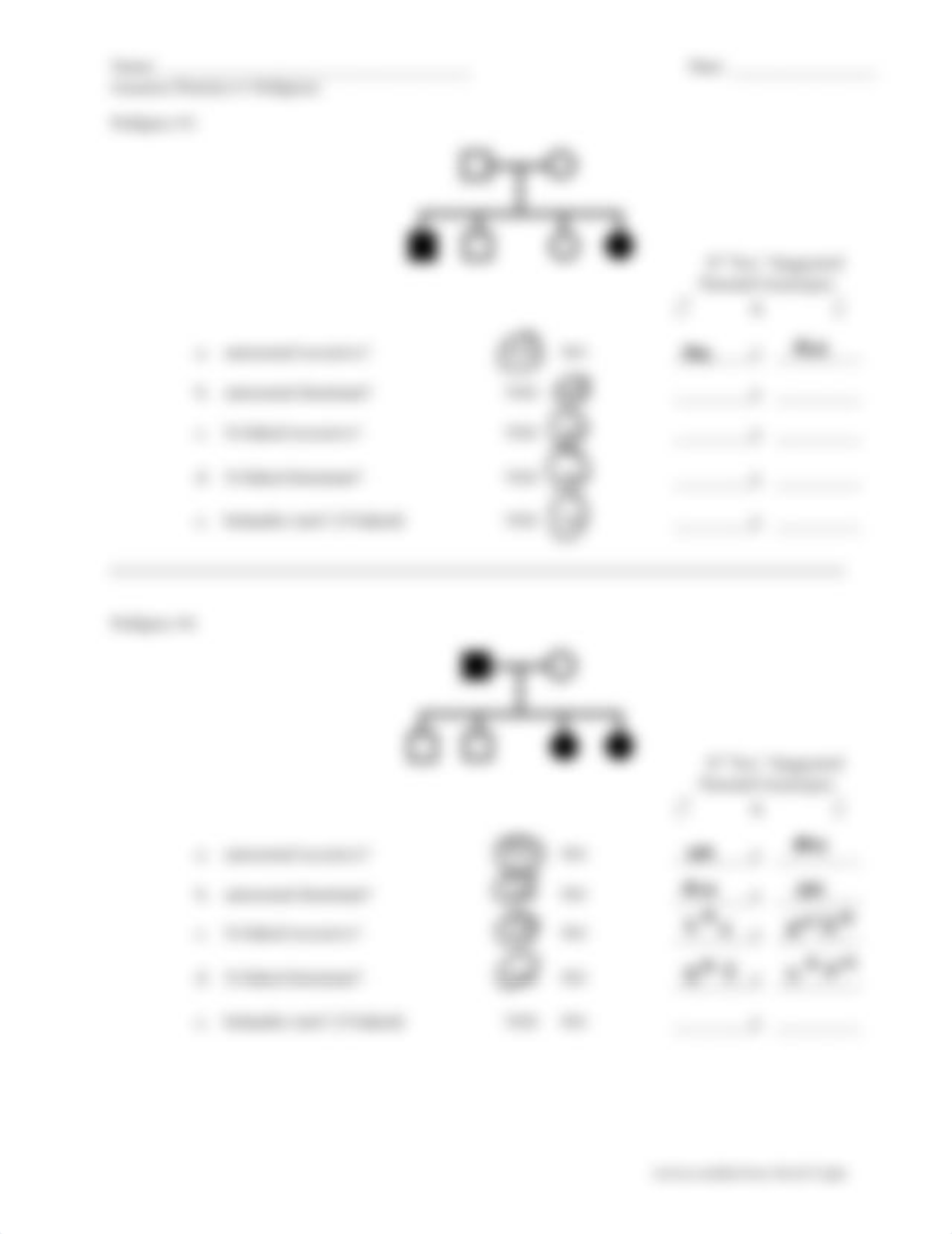 Genetics_Practice_6_-_Pedigrees.pdf_dmihkjwm119_page2