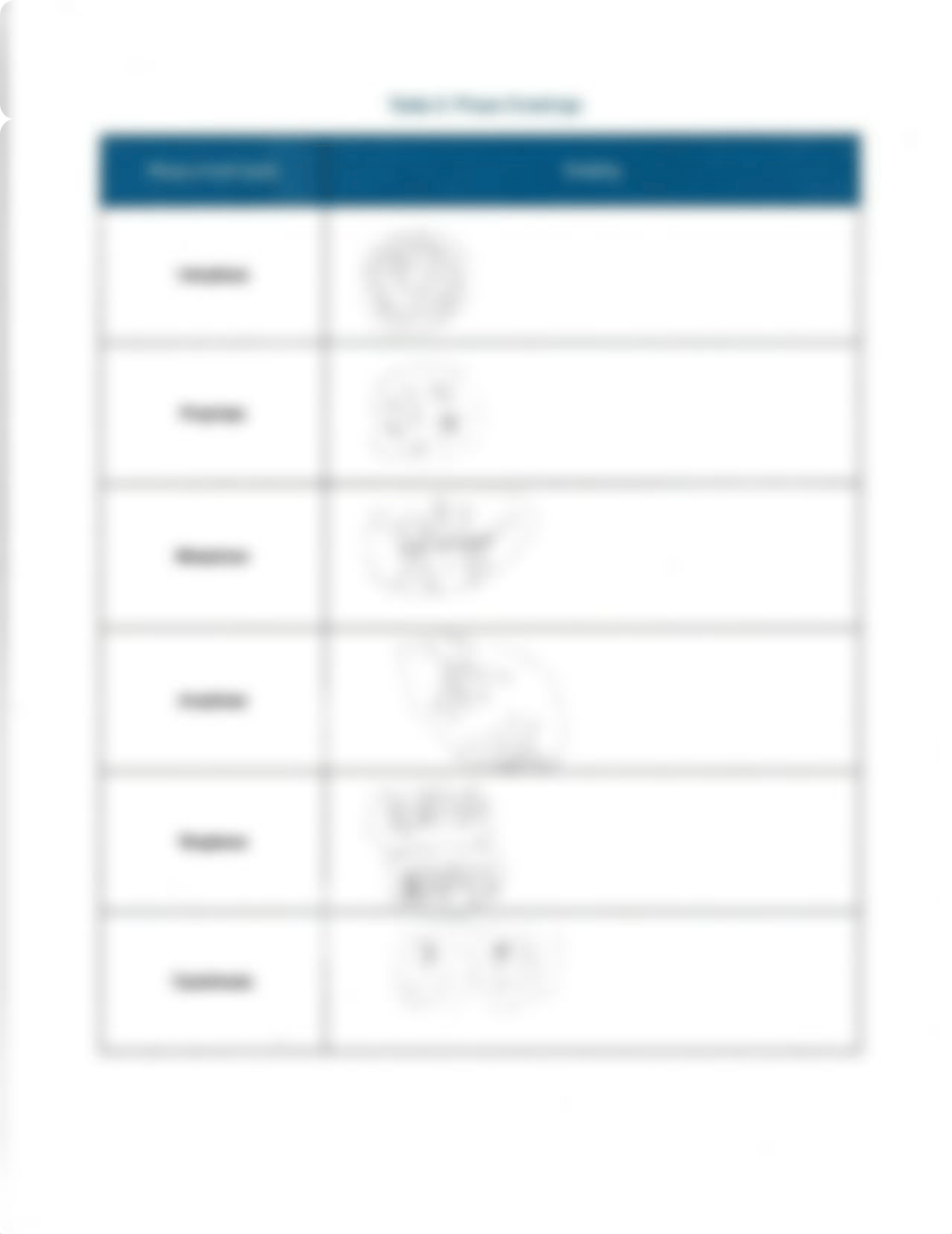 Mitosis Data sheet 1.pdf_dmijkmxmzhz_page2