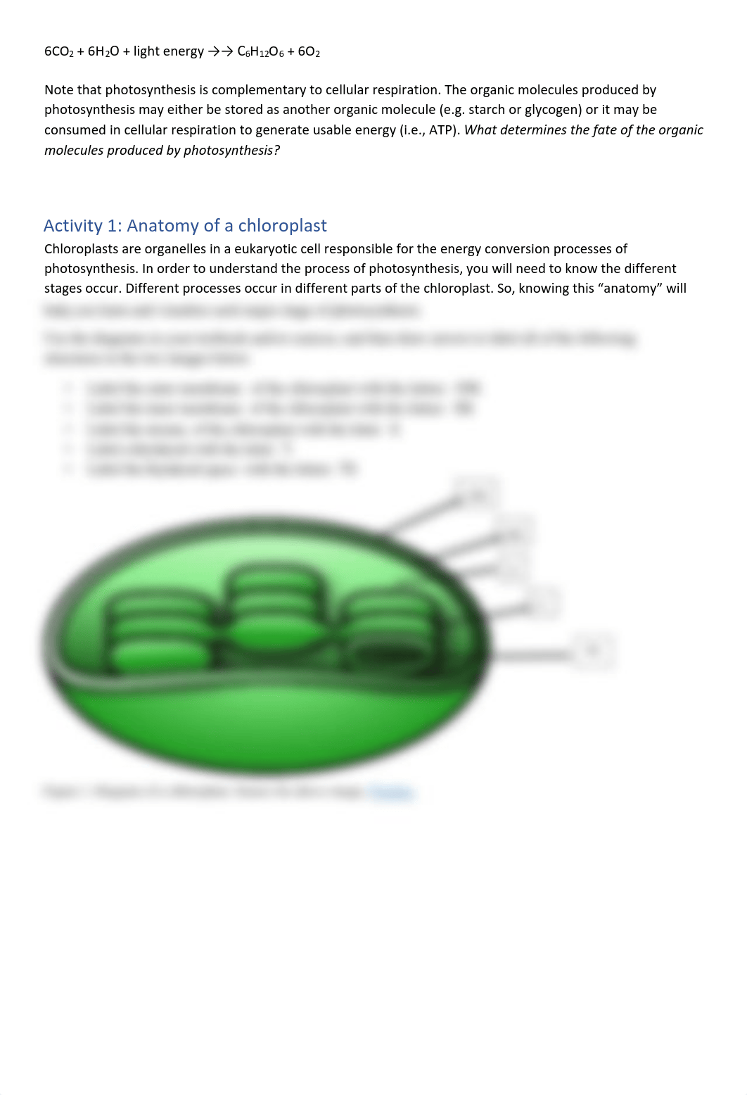 Miko Barrios BIO15 Lab 6.pdf_dmiqvlgbmy9_page2