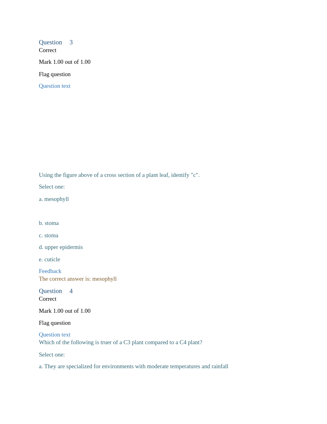 Pathways of Photosynthesis Quiz.docx_dmis37g3nap_page2