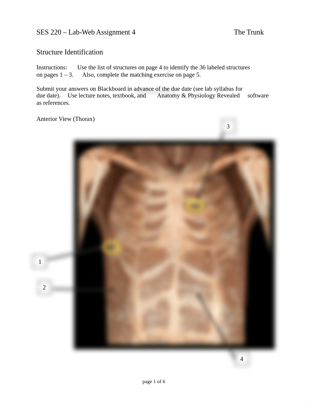 Lab-Web 4 - Trunk 2013-14.pdf_dmithc375cm_page1