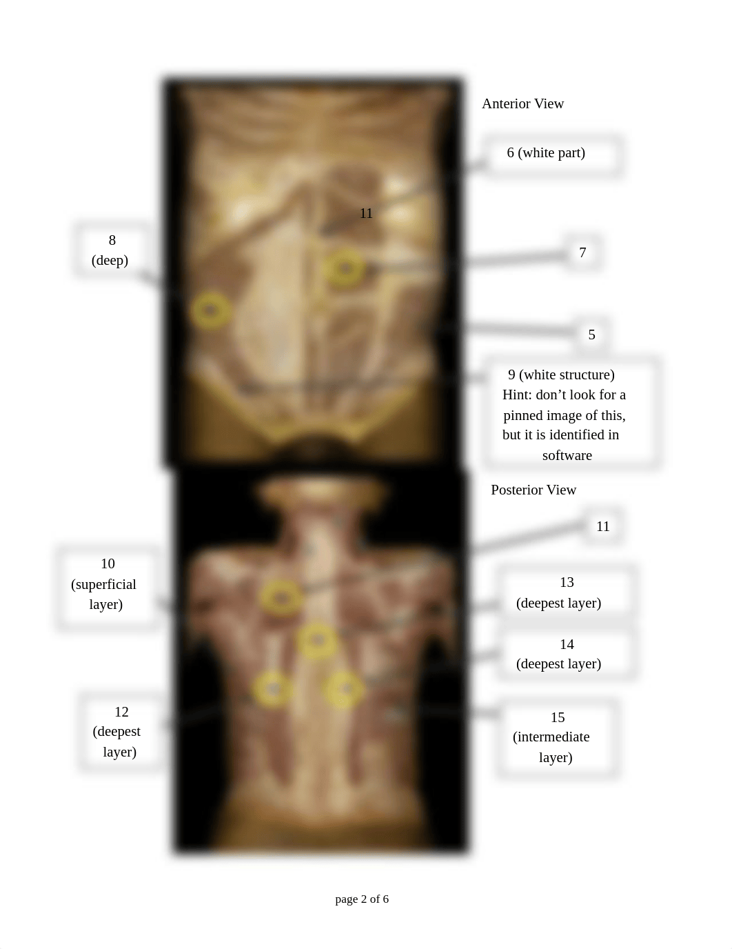 Lab-Web 4 - Trunk 2013-14.pdf_dmithc375cm_page2