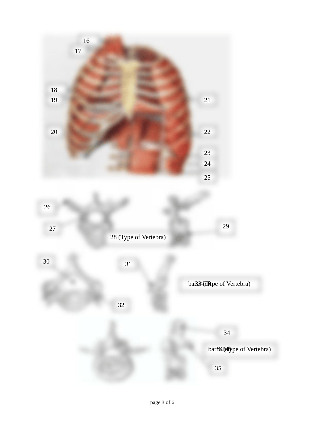 Lab-Web 4 - Trunk 2013-14.pdf_dmithc375cm_page3