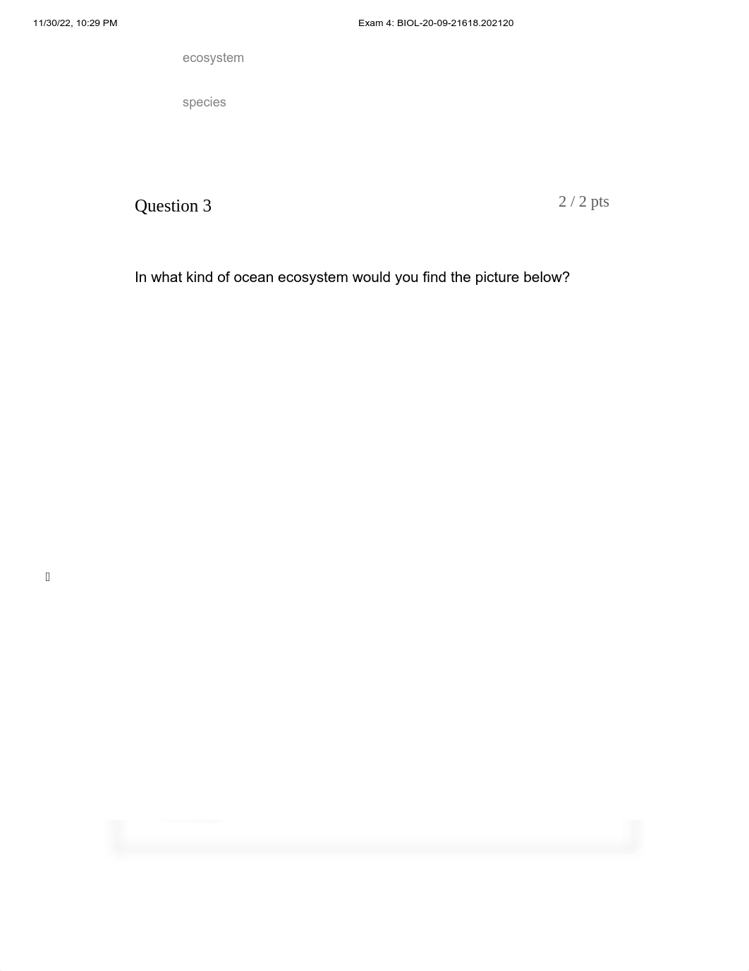 Exam 4_ BIOL-20-09-21618.202120.pdf_dmjdurylx92_page3