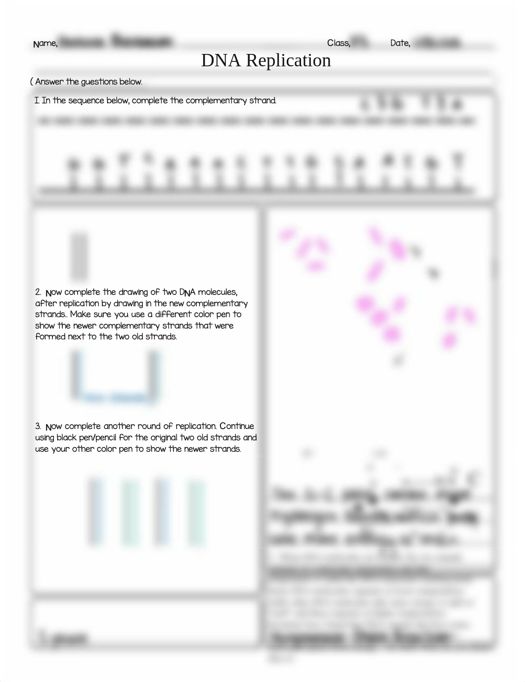 Bio_ DNA Base Pr Replication WS.pdf_dmjehatoz2d_page1