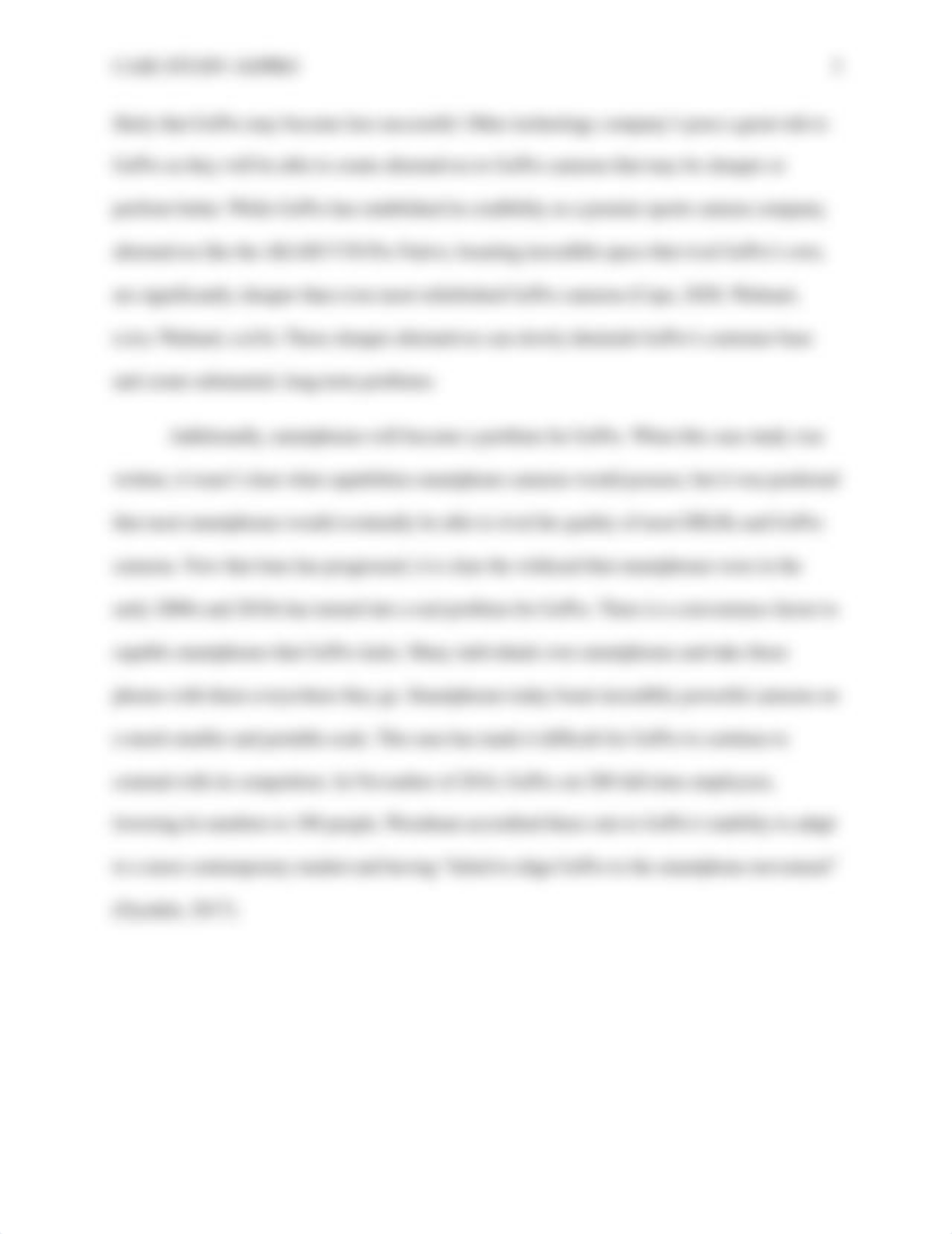 BUS310-80_Niehues_Courtnie_ GoPro Case Study.docx_dmjh38dqt3o_page3