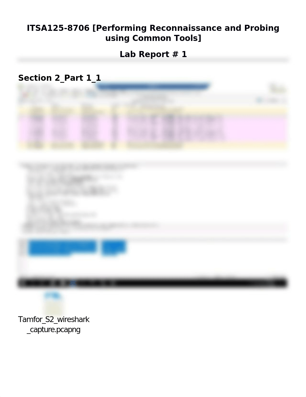 Lab Report #1.docx_dmji8o1nayz_page5