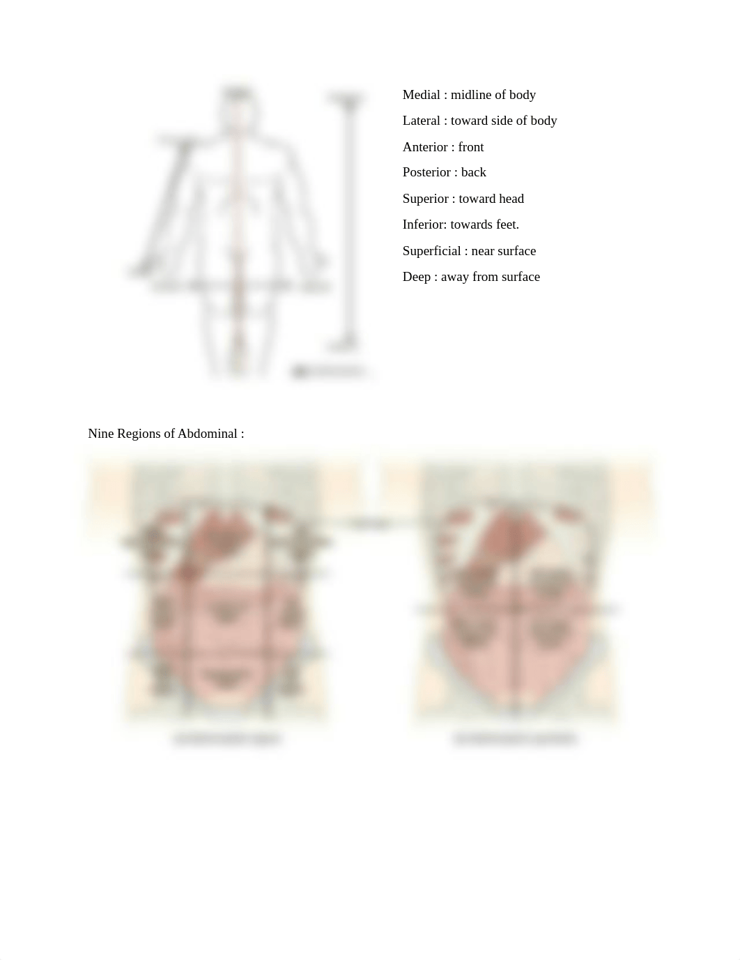 A&P TEST 1.docx_dmjmo2fnvfm_page5