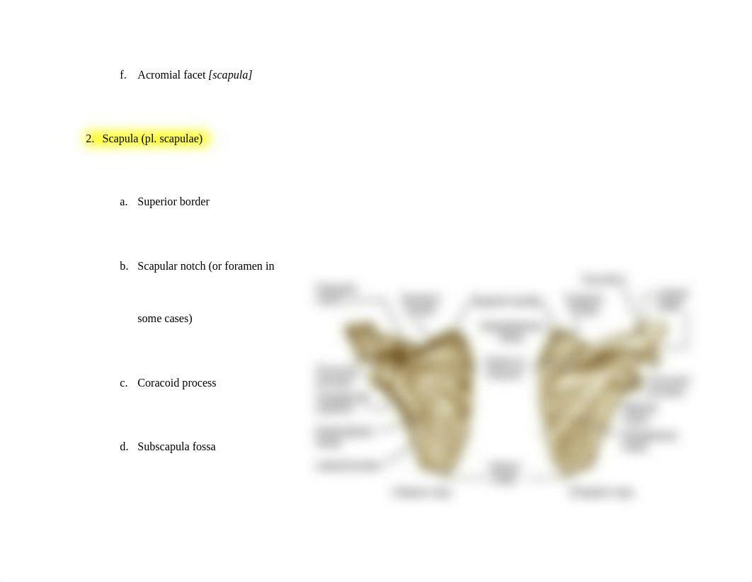 Handout_5_EXAM_III_Osteology_dmjmv505n8f_page2