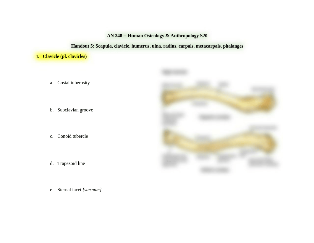 Handout_5_EXAM_III_Osteology_dmjmv505n8f_page1