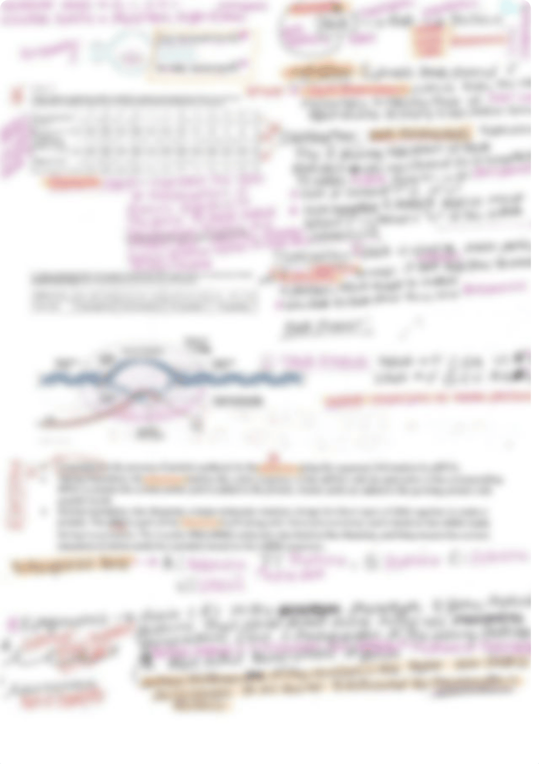 BIO NOTES.pdf_dmjpnat0gty_page2