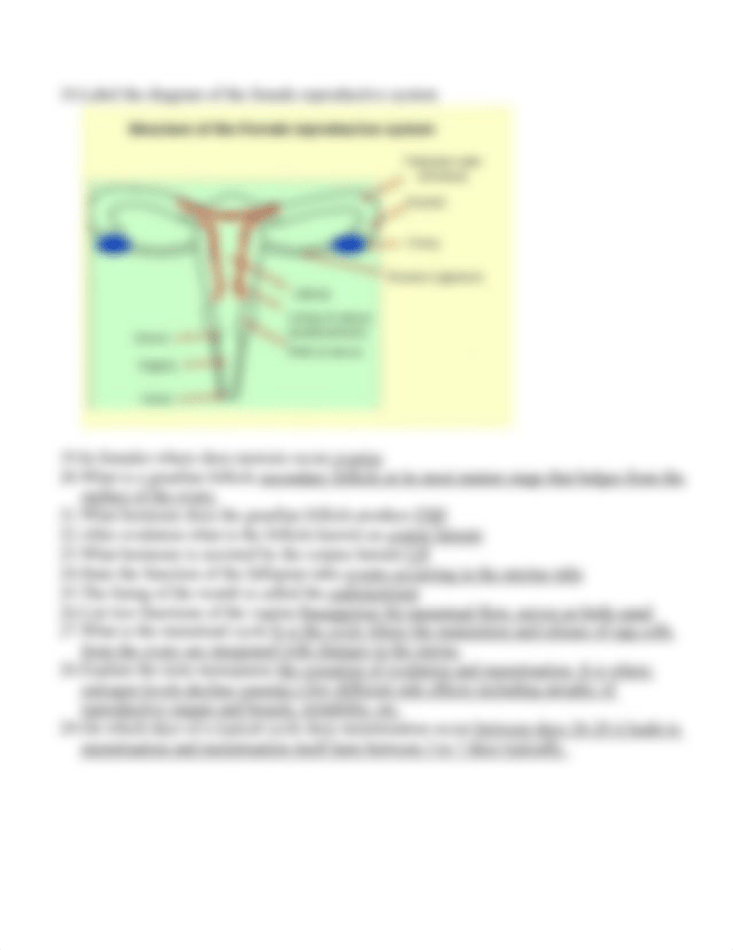 male repro worksheet 2018(2).doc_dmjtukz82r0_page3