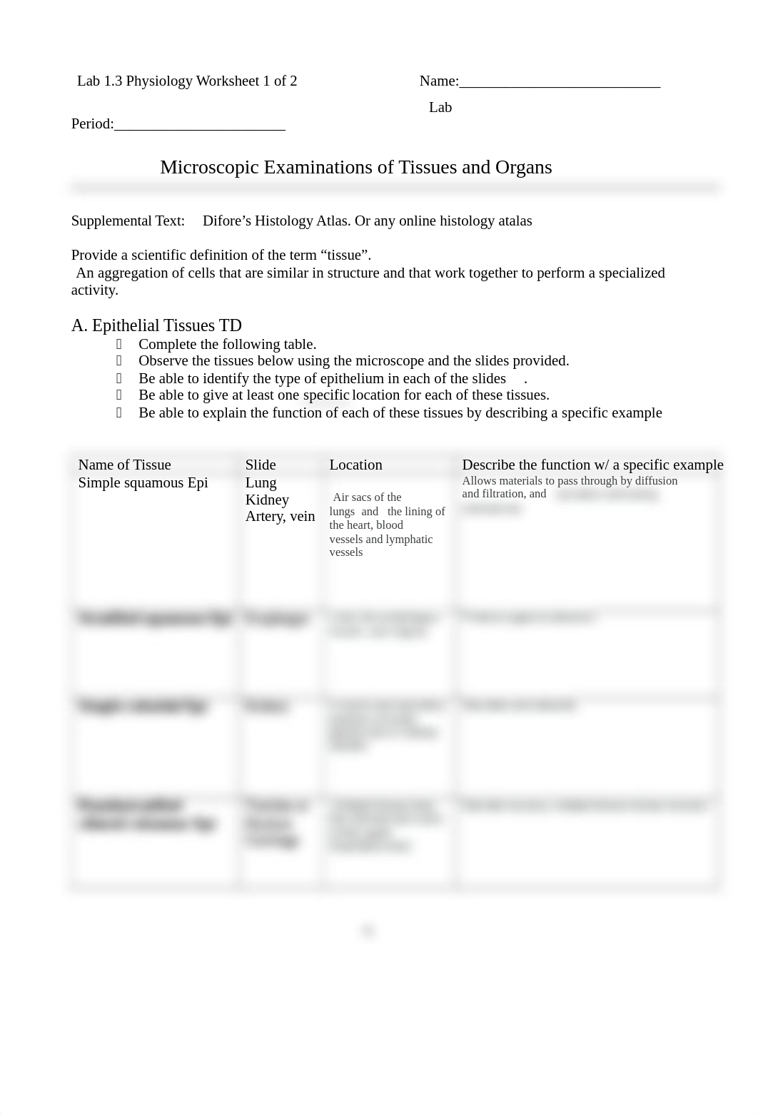 Lab 1.3 Histology and Mitosis.docx_dmjuewmk1pt_page4