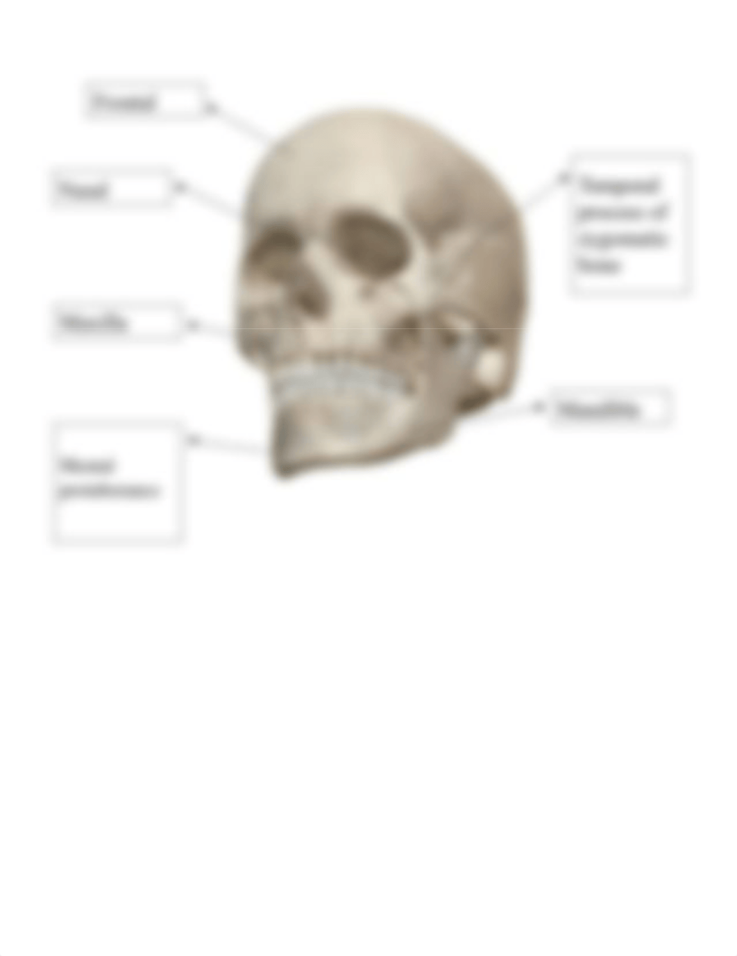 lab axial bio 107 .pdf_dmjz2dfw5r1_page3