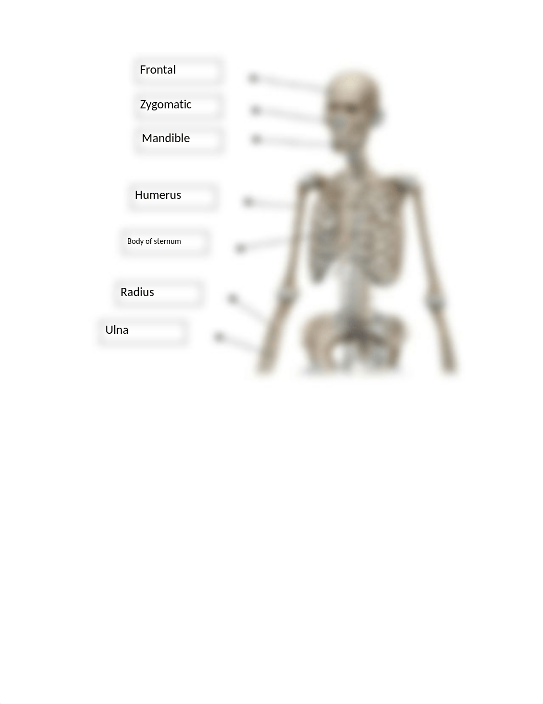 lab axial bio 107 .pdf_dmjz2dfw5r1_page1