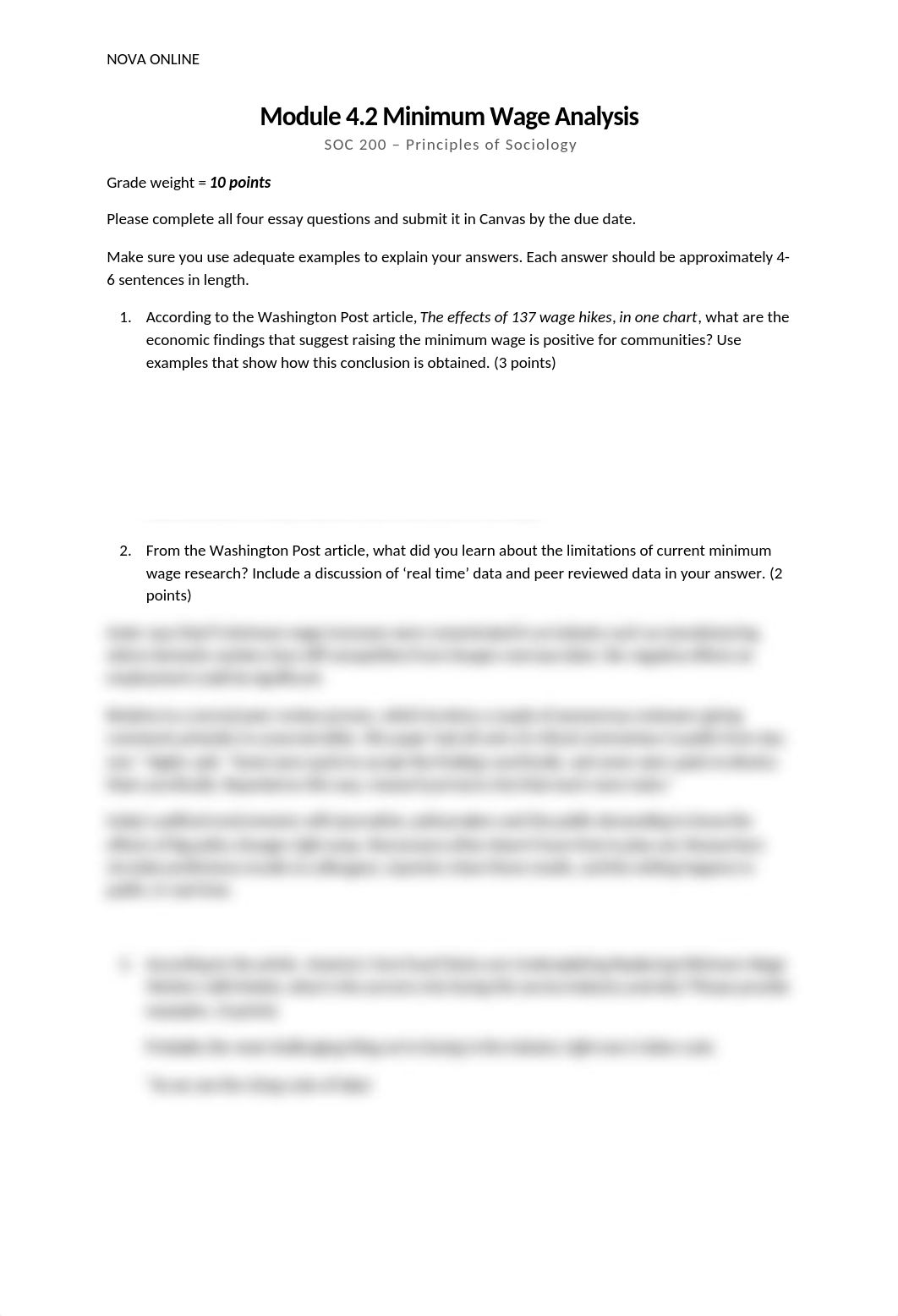 4.2Minimum-Wage-Analysis.docx_dmk0o3e83rd_page1