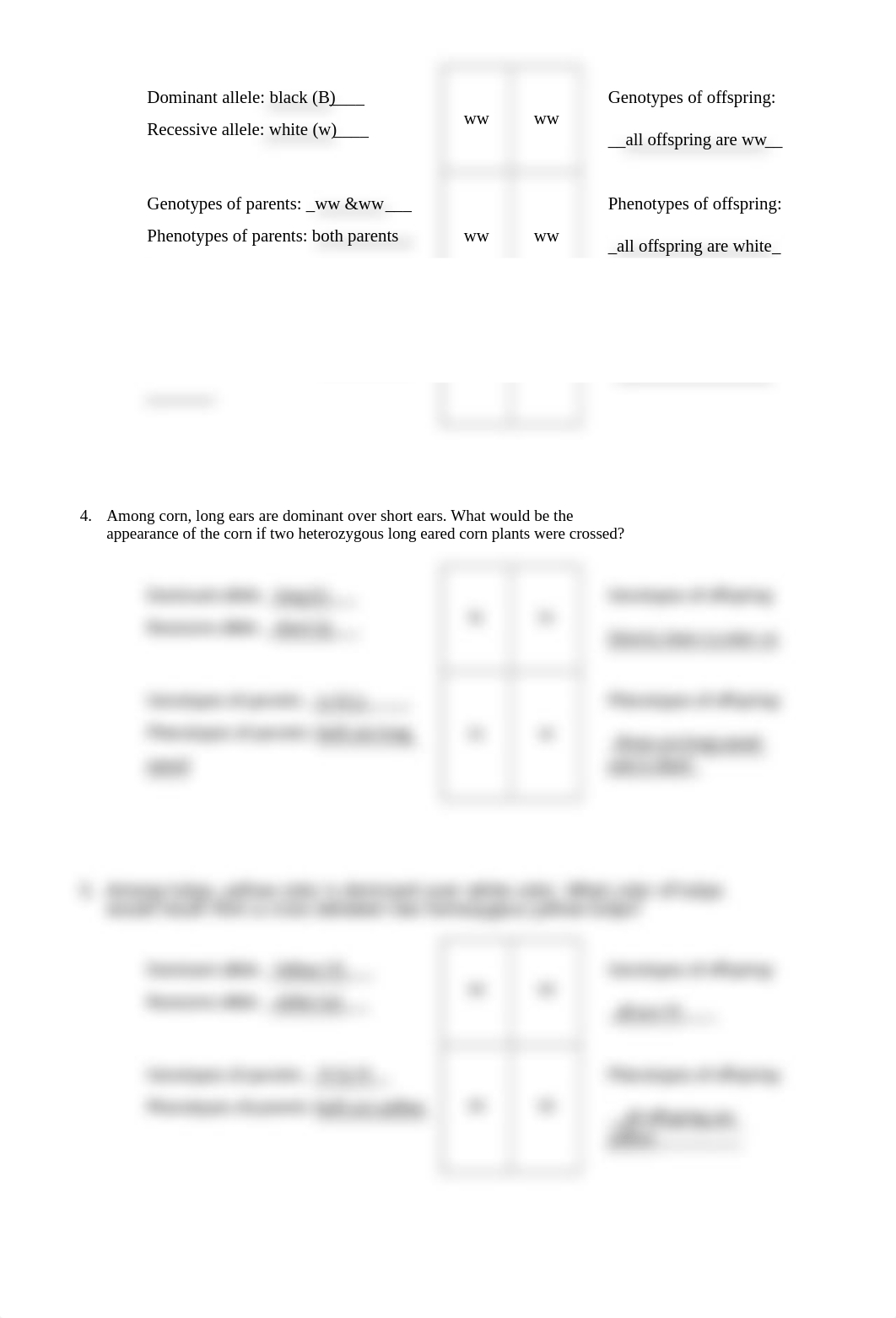 Lab 05 Punnett Square Handout C. Bright 261799.docx_dmk67tjoew6_page2