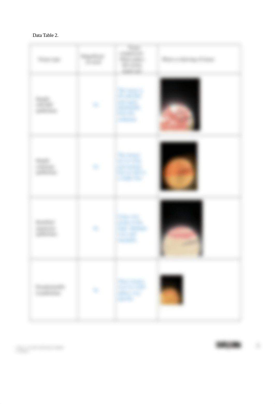 Introduction to Histology Answer Sheet.docx_dmk7wi4uka4_page2