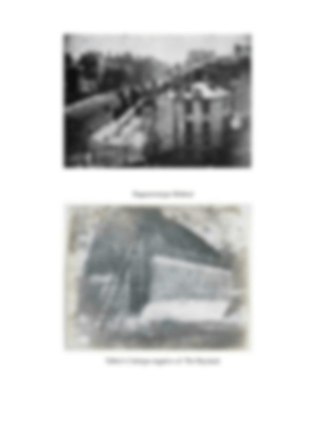 Daguerreotype vs. Calotype.docx_dmk9mu1fawq_page2